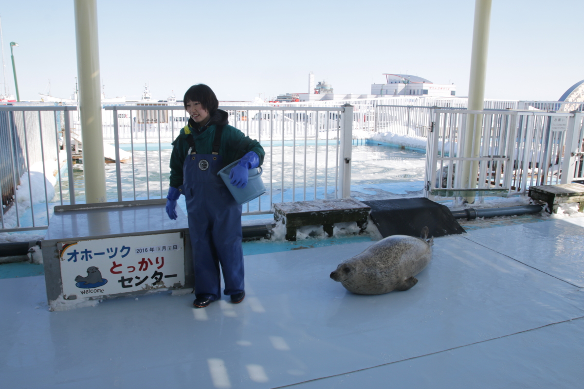 [水族館][とっかりセンター]