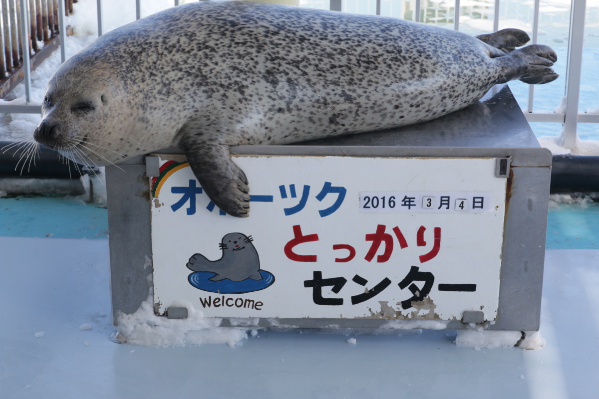 [水族館][とっかりセンター]