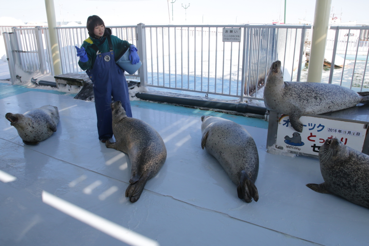 [水族館][とっかりセンター]