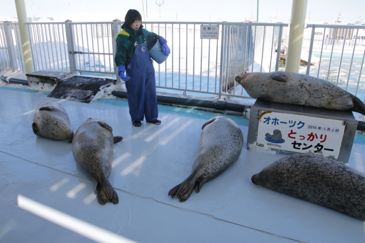 [水族館][とっかりセンター]