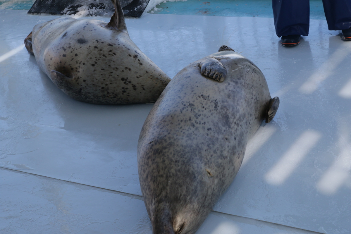 [水族館][とっかりセンター]