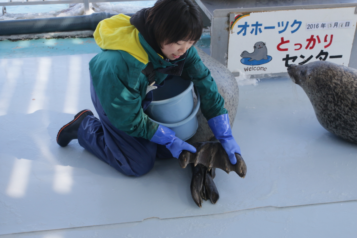 [水族館][とっかりセンター]