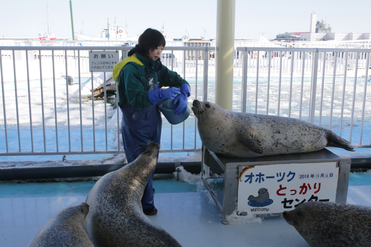 [水族館][とっかりセンター]