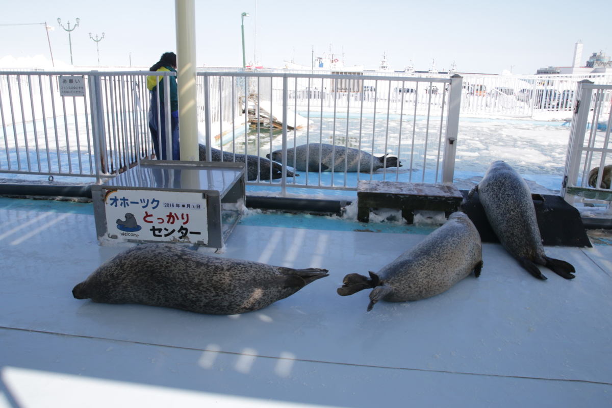 [水族館][とっかりセンター]