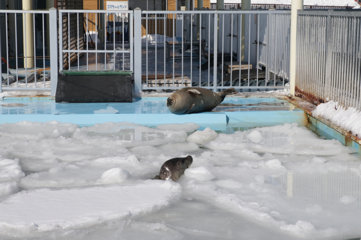 [水族館][とっかりセンター]