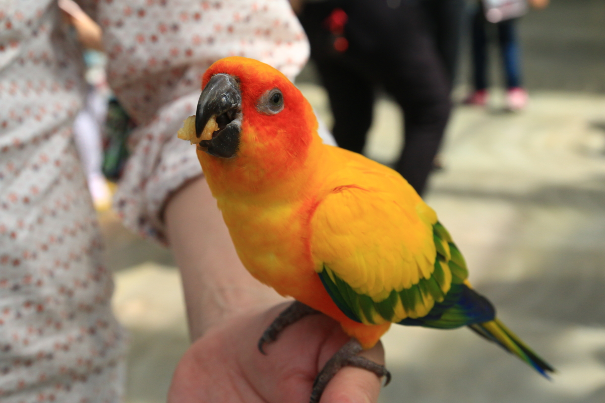 [動物園][掛川花鳥園]