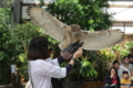 [動物園][掛川花鳥園]