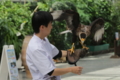 [動物園][掛川花鳥園]