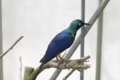 [動物園][掛川花鳥園]