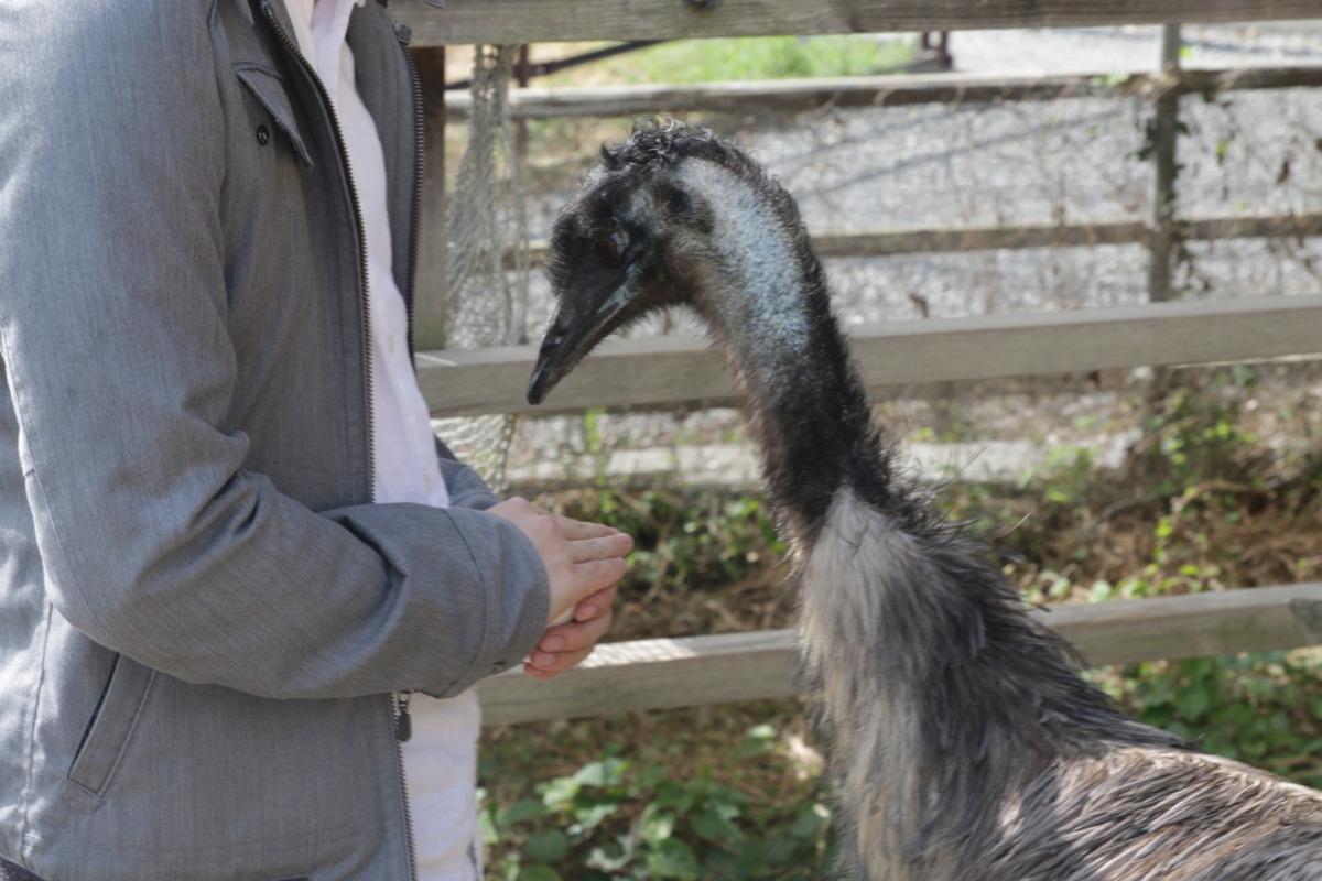 [動物園][掛川花鳥園]