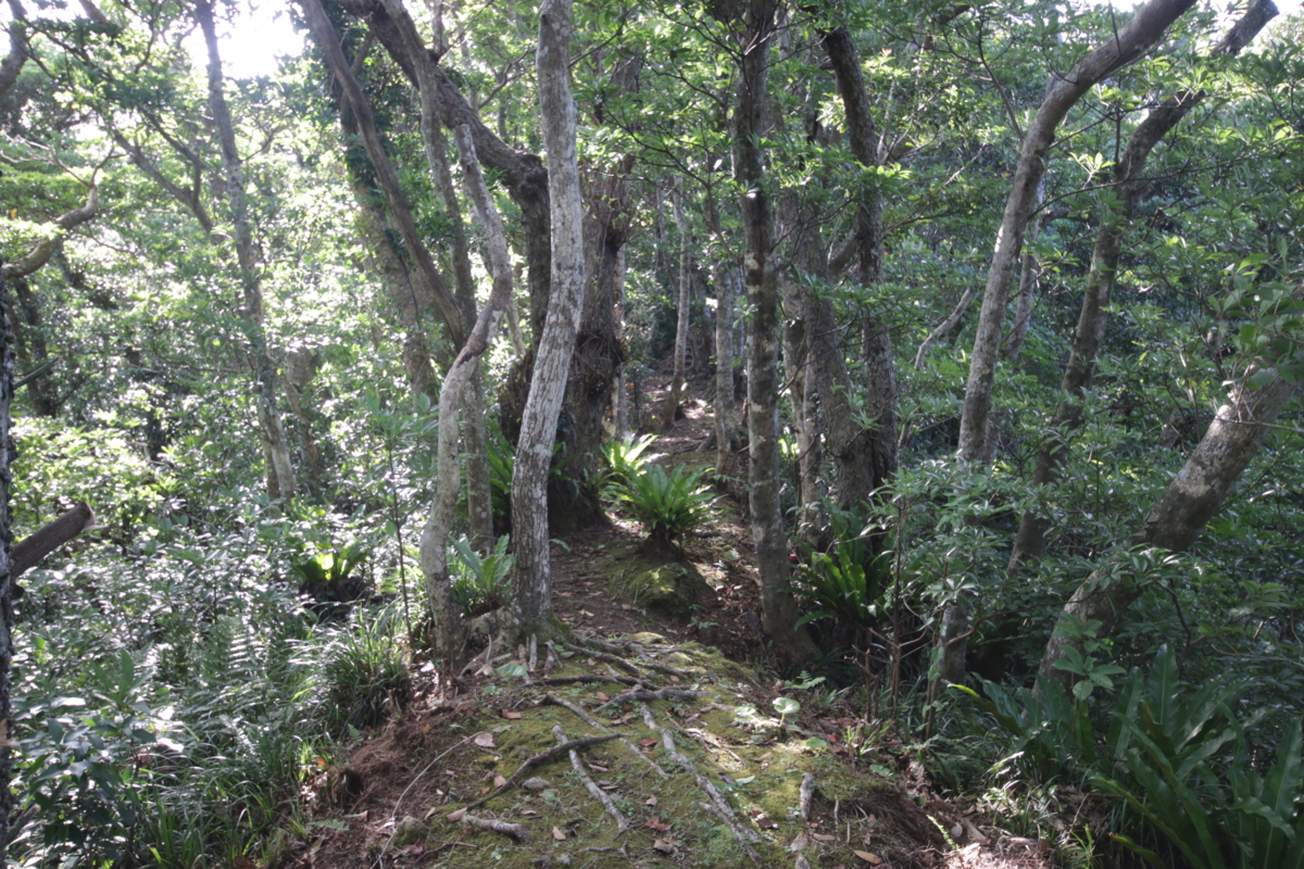 f:id:hms_ulysses:20160807162559j:plain f:id:hms_ulysses:20160807162559j:plain