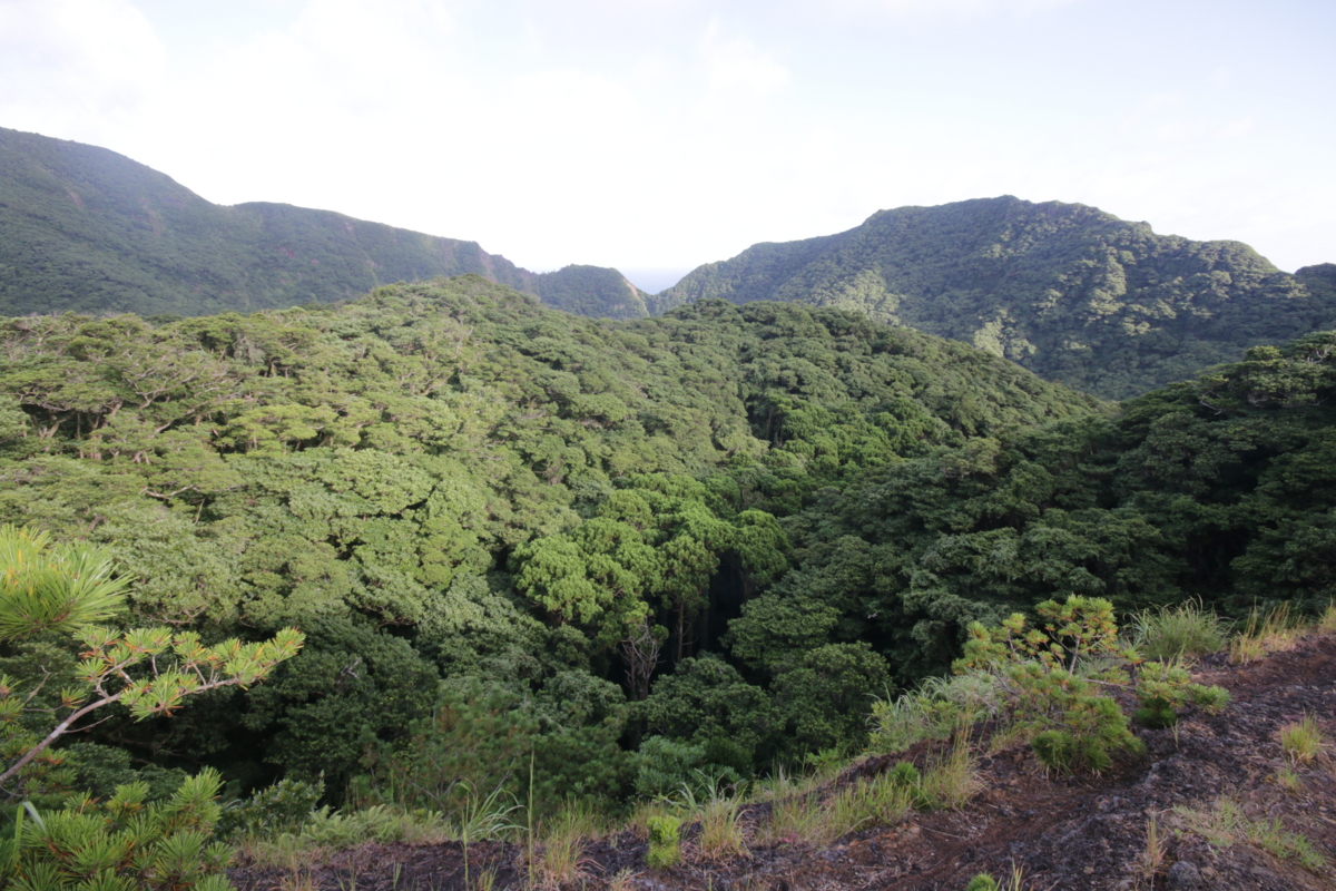 f:id:hms_ulysses:20160807164225j:plain f:id:hms_ulysses:20160807164225j:plain