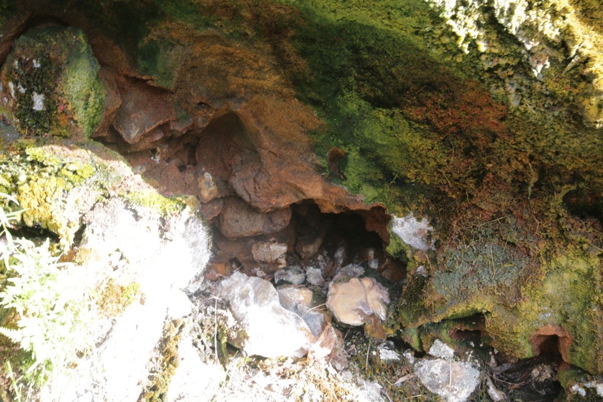 f:id:hms_ulysses:20160807165252j:plain f:id:hms_ulysses:20160807165252j:plain