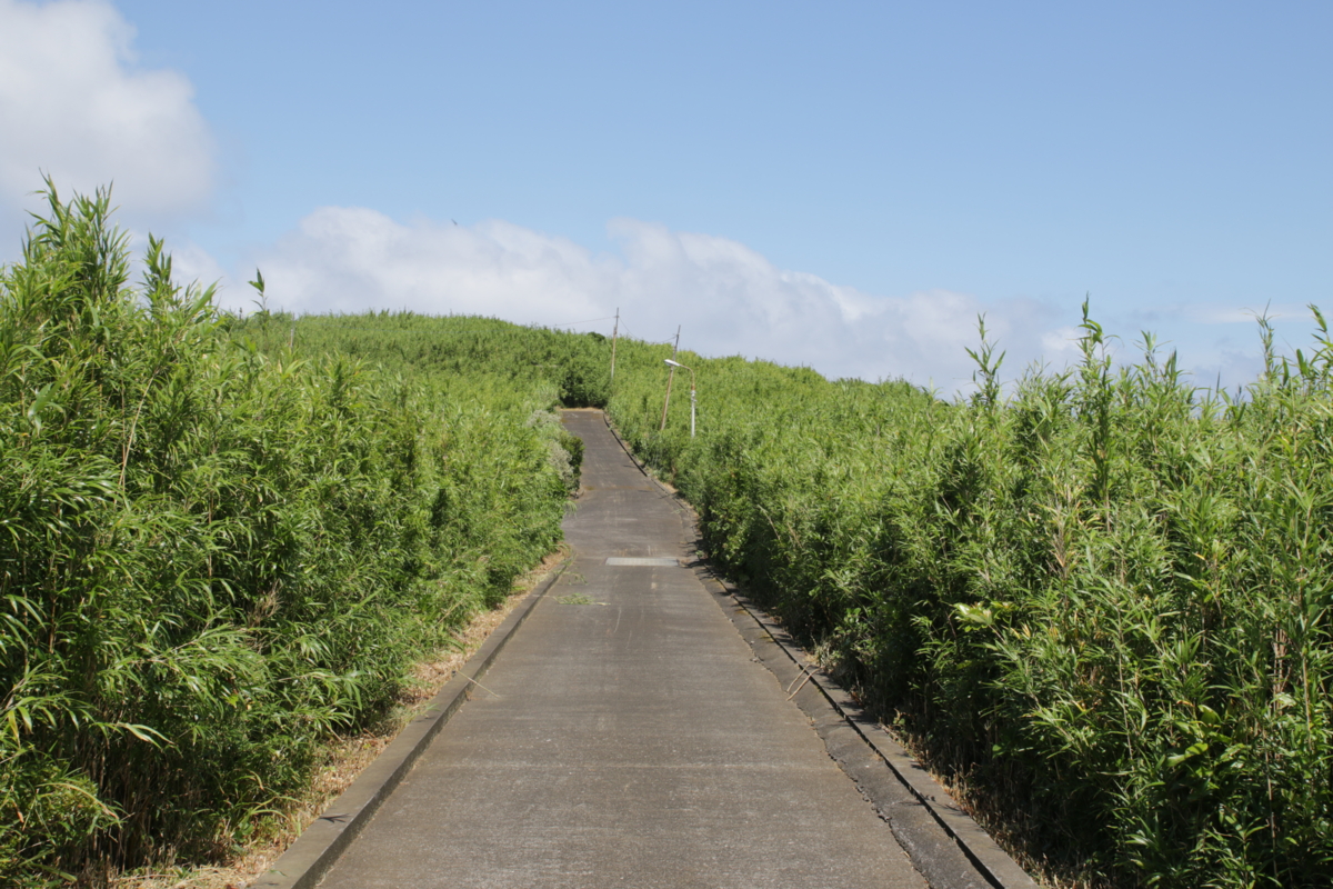 f:id:hms_ulysses:20160808103108j:plain