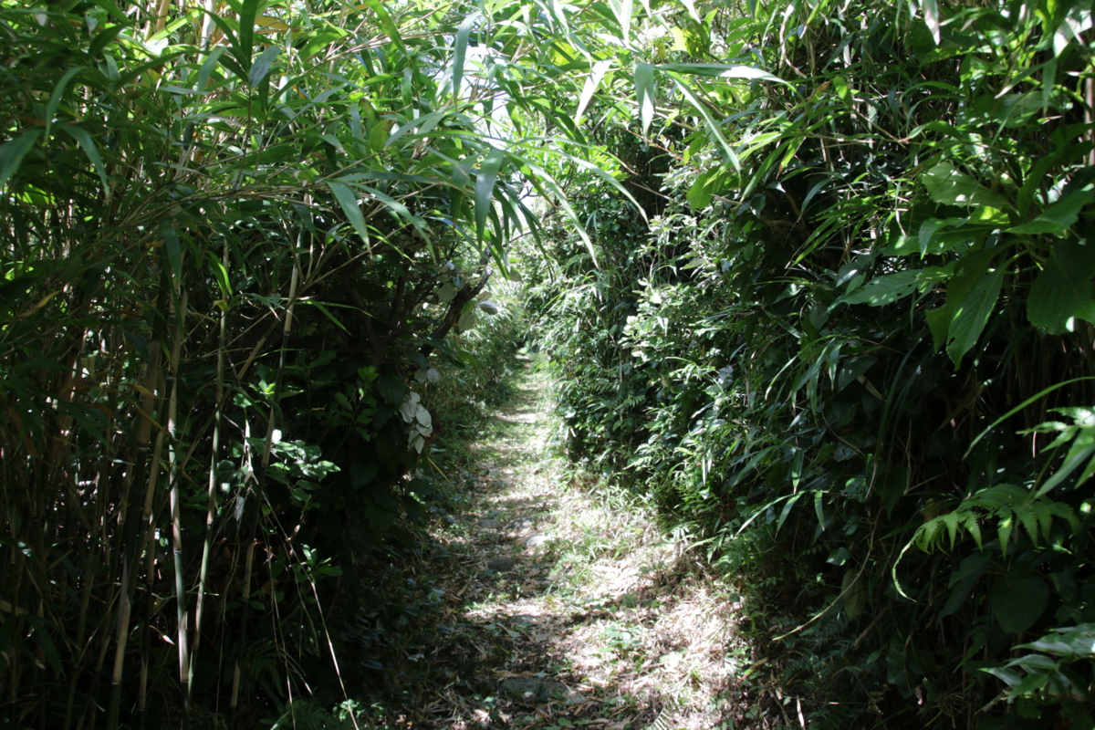 f:id:hms_ulysses:20160808103319j:plain