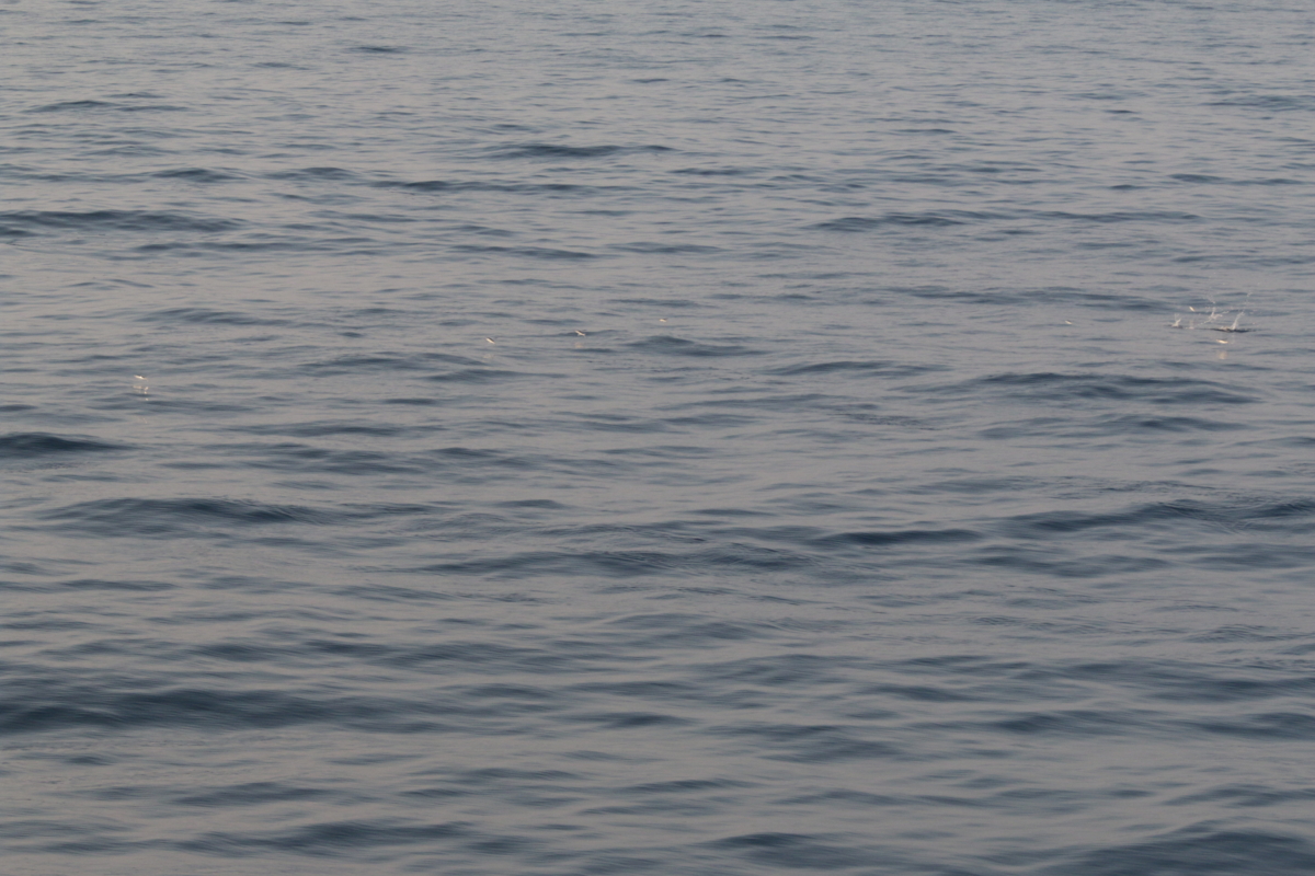 f:id:hms_ulysses:20160809173535j:plain f:id:hms_ulysses:20160809173535j:plain