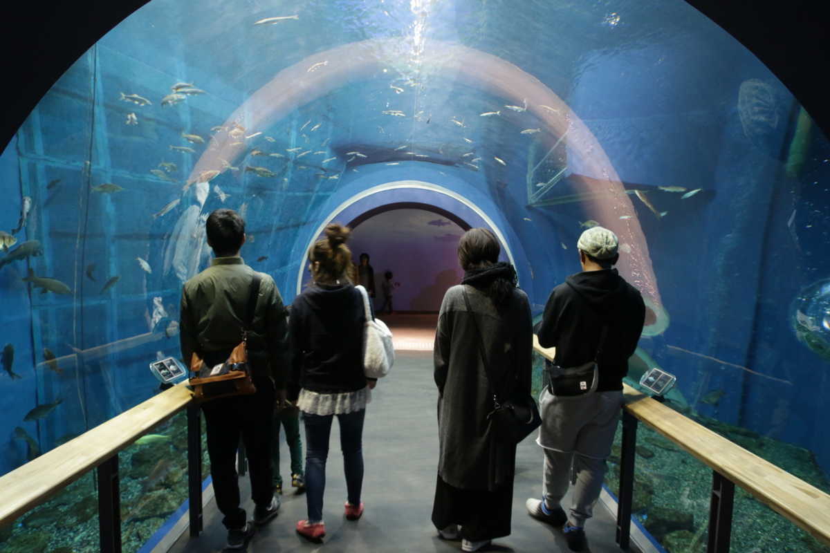 [博物館][水族館][滋賀県立琵琶湖博物館]