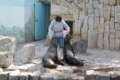 [江戸川区自然動物園][動物園]