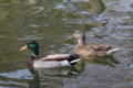 [江戸川区自然動物園][動物園]