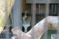 [動物園][夢見ヶ崎動物公園]