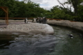 [那須どうぶつ王国][動物園]