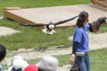 [那須どうぶつ王国][動物園]