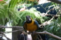 [那須どうぶつ王国][動物園]