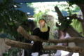 [那須どうぶつ王国][動物園]