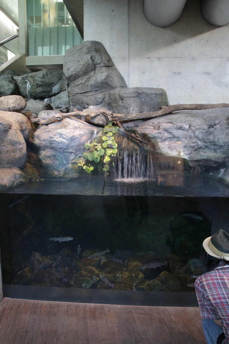 [なかがわ水遊園][水族館][お出かけ]