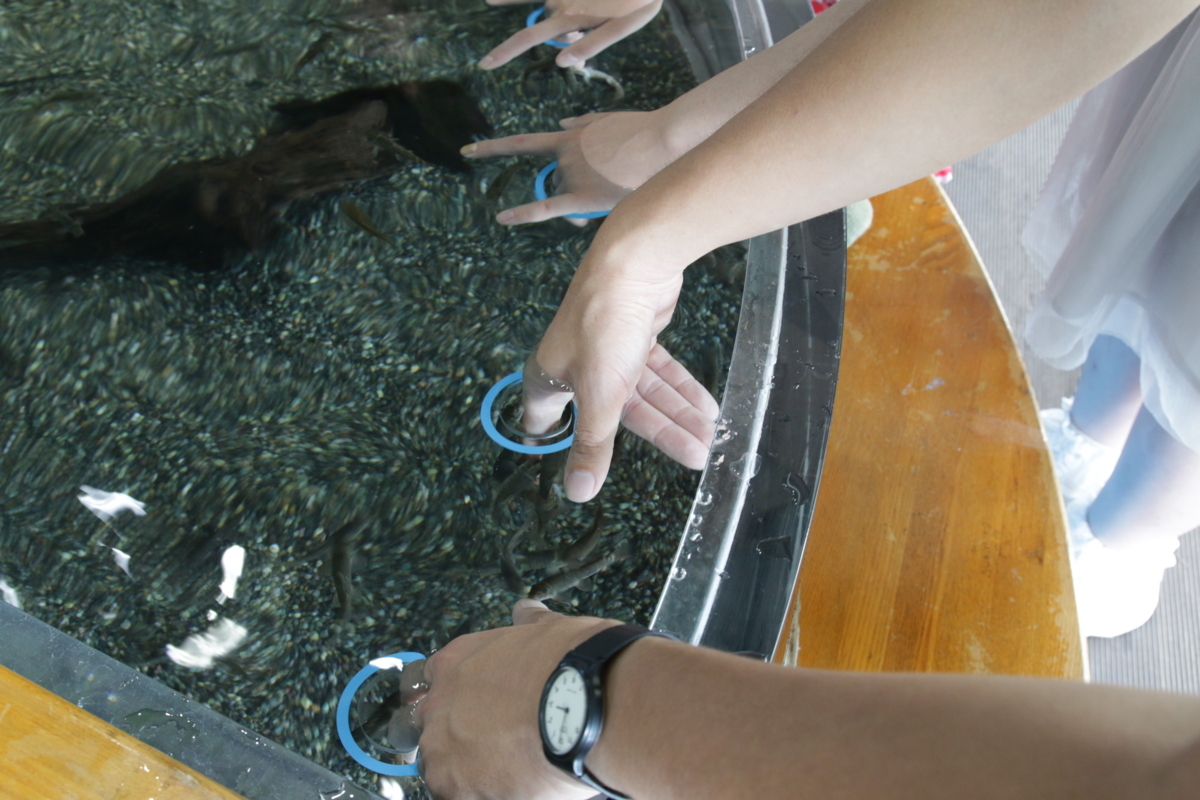 [なかがわ水遊園][水族館][お出かけ]