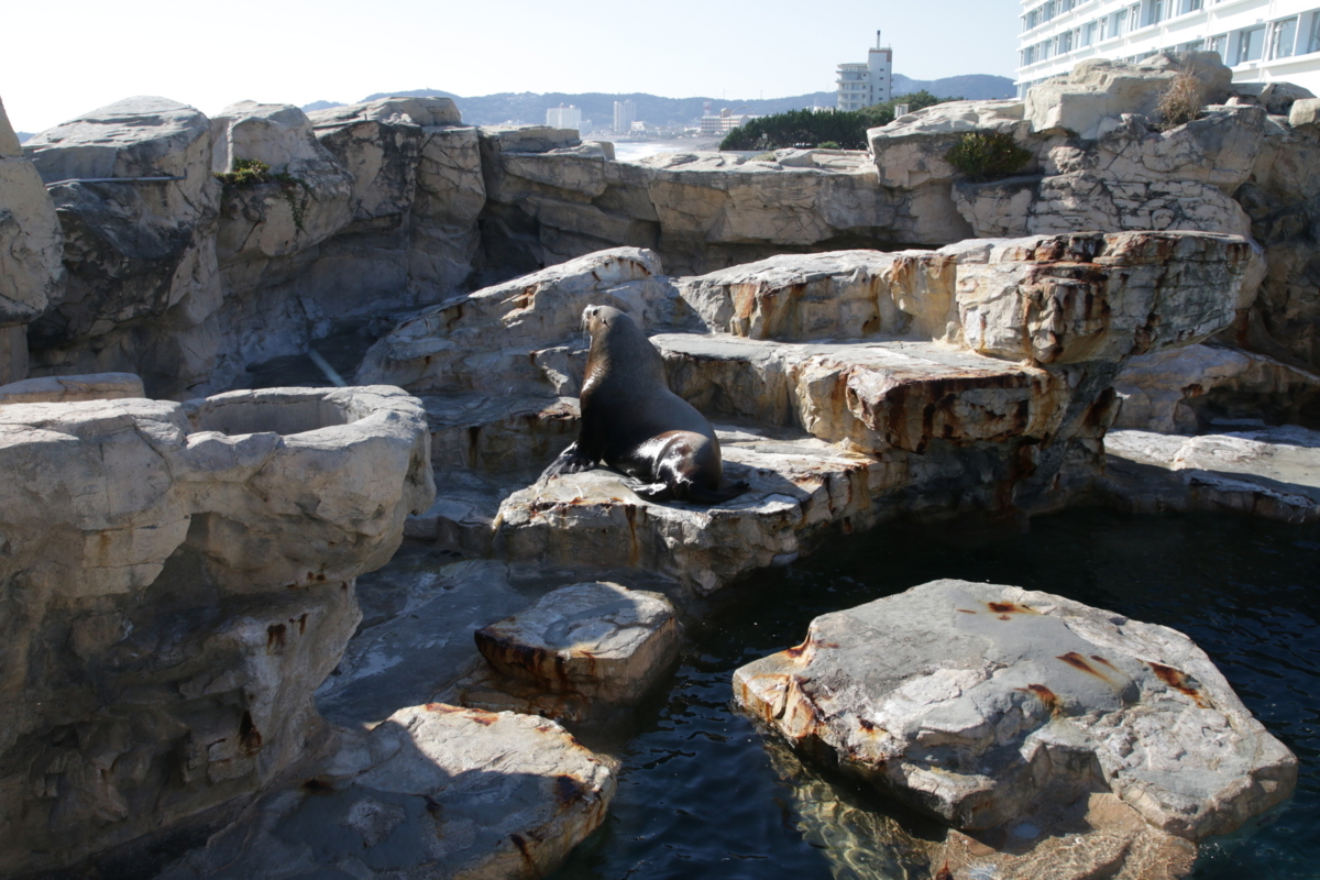 [水族館][鴨川シーワールド]