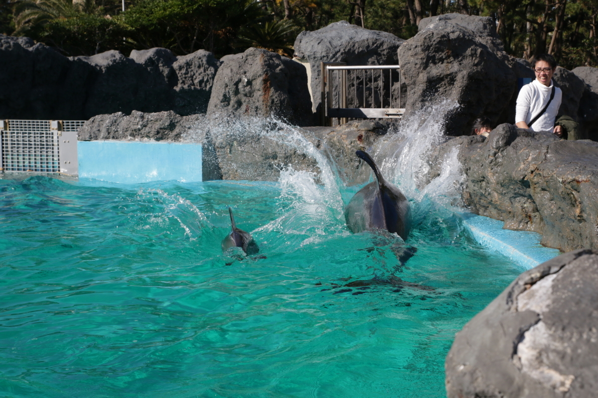 [水族館][鴨川シーワールド]