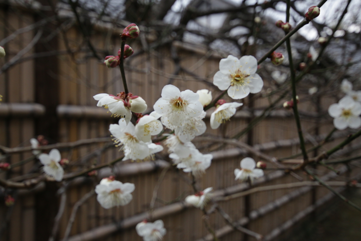 [建物][郷土の森博物館]