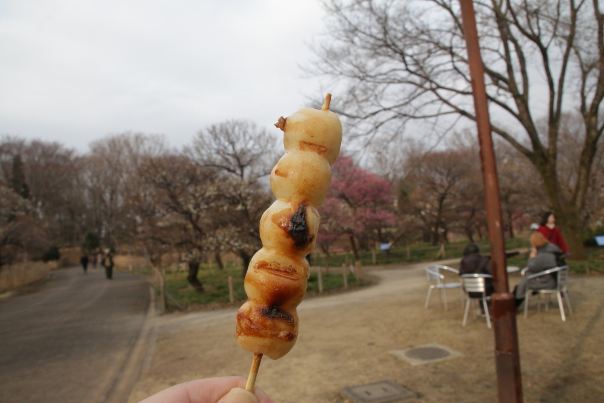 [花][郷土の森博物館]