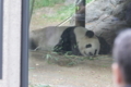 [上野動物園][動物園]