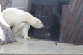 [上野動物園][動物園]