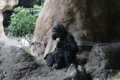 [上野動物園][動物園]