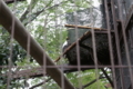 [上野動物園][動物園]