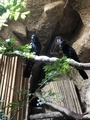 [動物園][水族館][アメリカ]