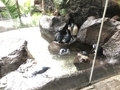 [動物園][水族館][アメリカ]