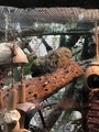 [動物園][水族館][アメリカ]