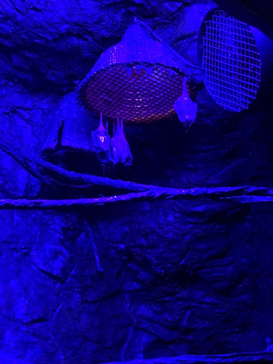 [動物園][水族館][アメリカ]