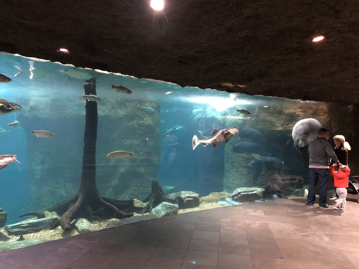 [動物園][水族館][アメリカ]