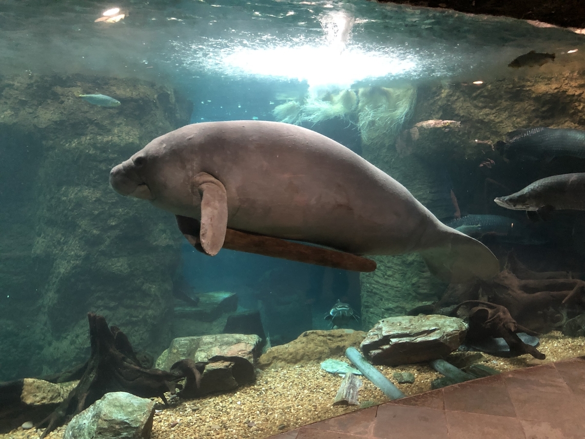 [動物園][水族館][アメリカ]