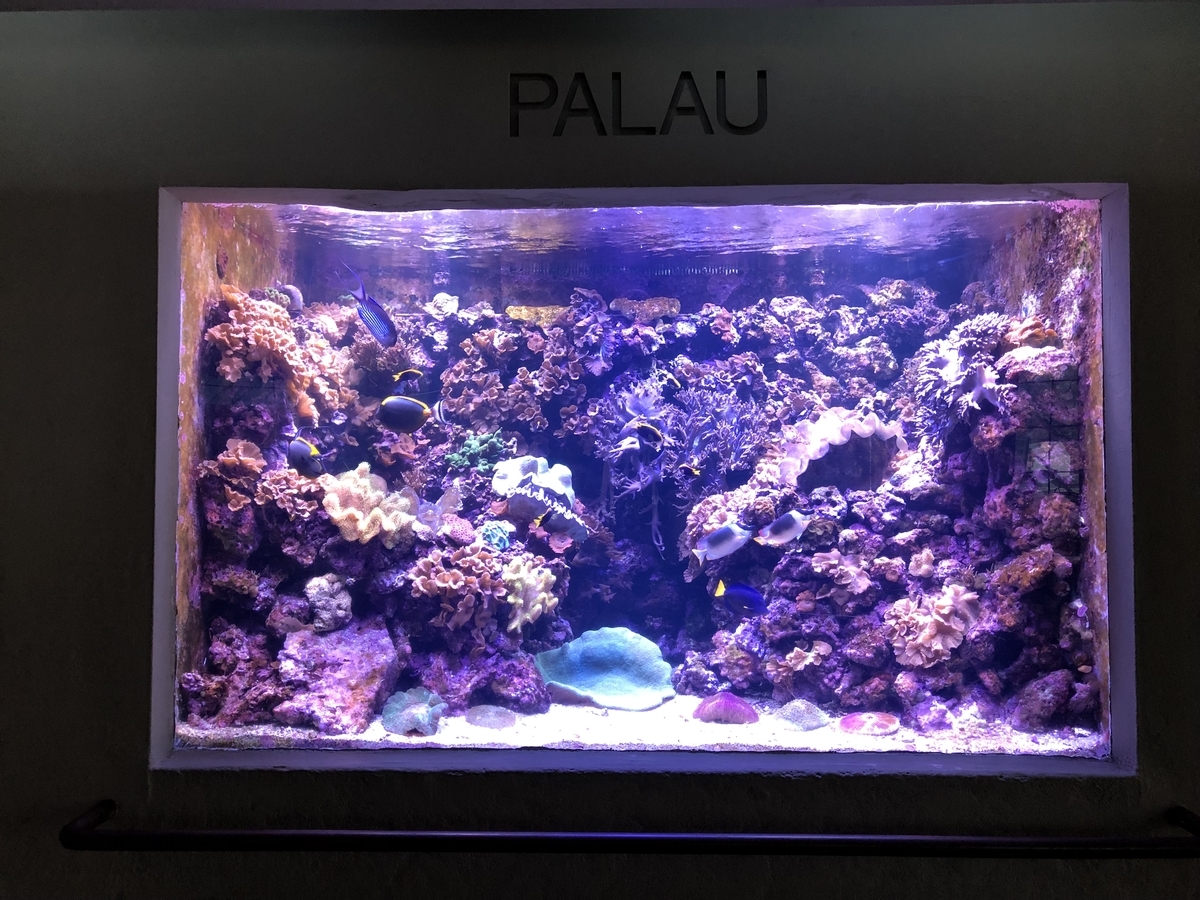 海から400km離れた素敵な水族館、ダラス・ワールド・アクアリウム