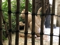 [アメリカ][水族館][動物園]