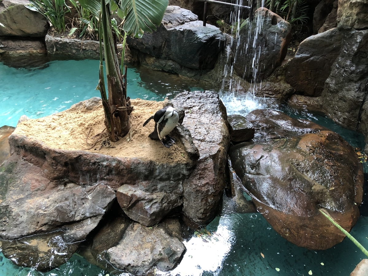 [アメリカ][水族館][動物園]