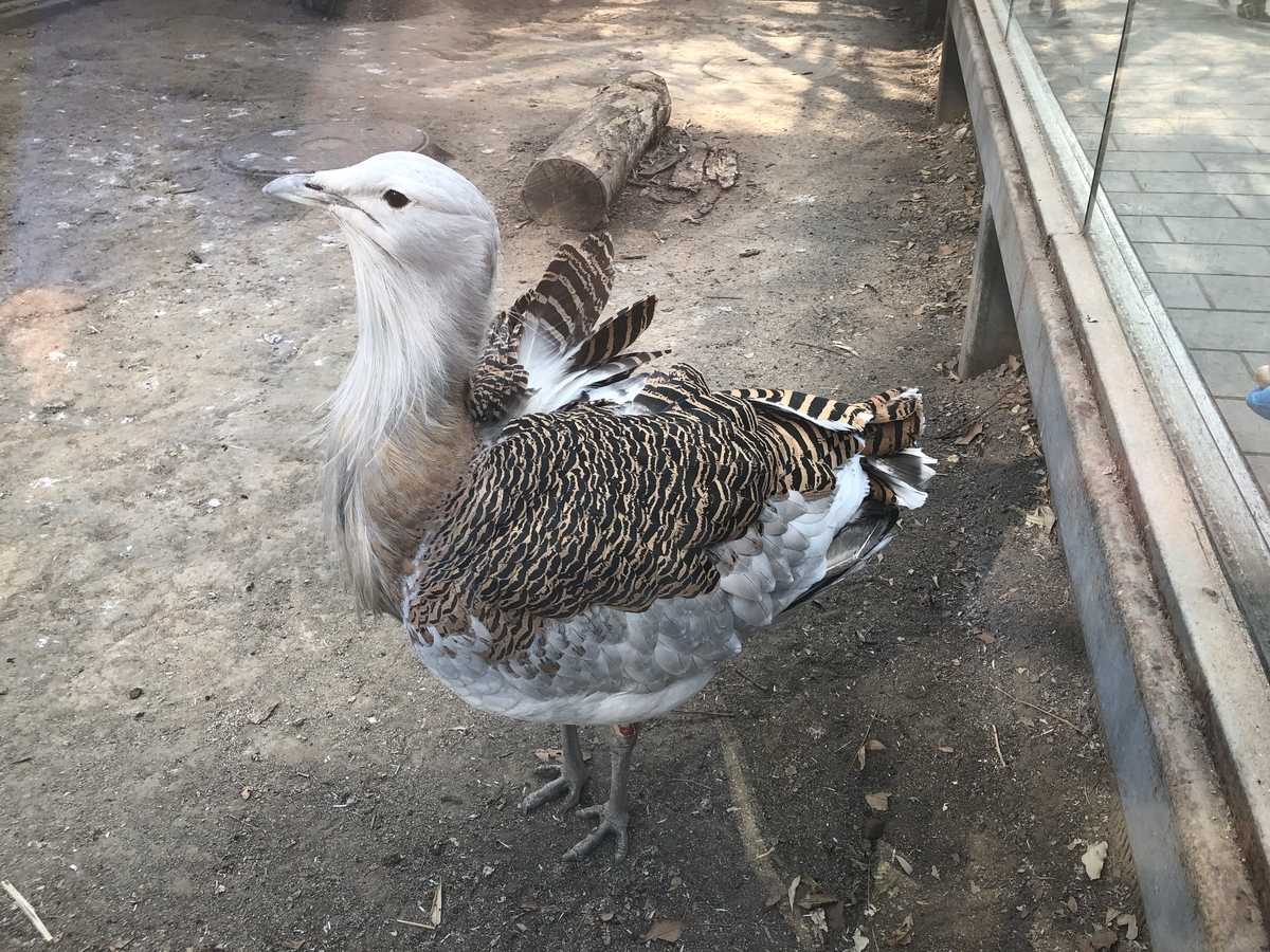 [北京動物園]