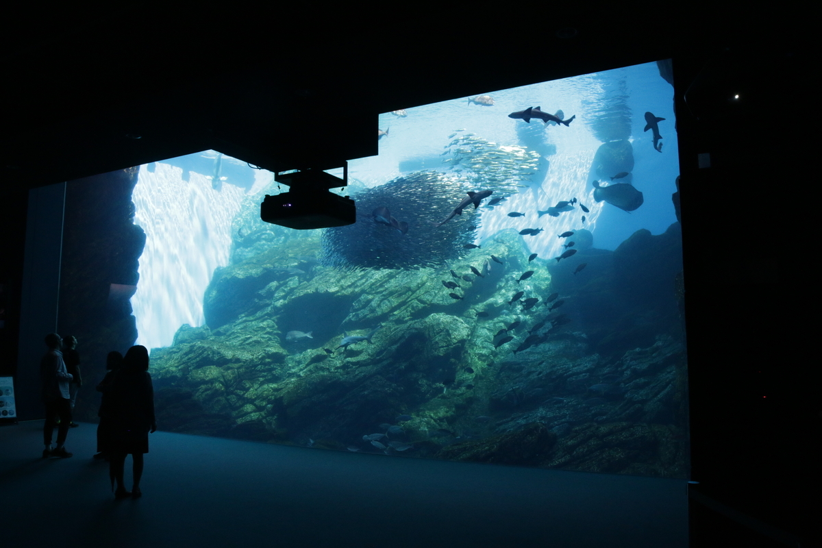 東北の海 が身近になる 仙台うみの杜水族館 その1 インターネットあっちこっち 東北の海 が身近になる 仙台うみの杜水族館 その1 インターネットあっちこっち