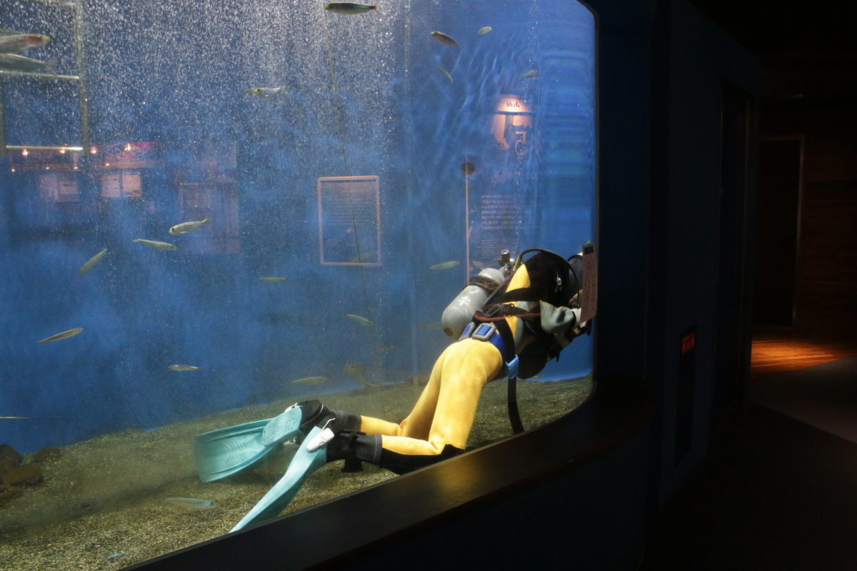 f:id:hms_ulysses:20190926093621j:image:w360